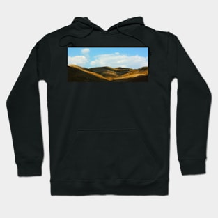 Sicily. Fields XV. 2011 Hoodie